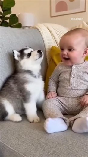 KidsZone on Instagram: "Good conversation 👌 😁🤣😅😂"