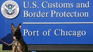 New canine screening of air cargo highlights potential for less airport congestion