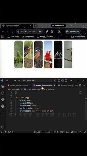 How To Create Photo Gallery Using HTML & CSS | Photo Gallery kaise | Banaye Responsive Image Gallery