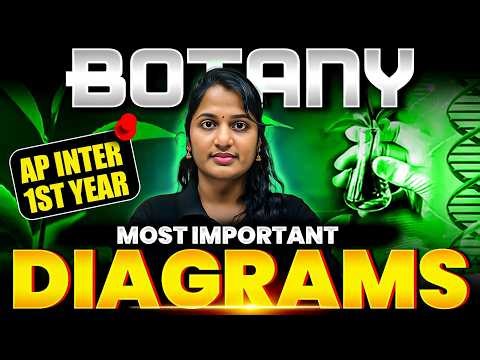 Most Important Botany Diagrams 🔥 | AP Inter 1st Year | Score Full Marks | IPE 2026