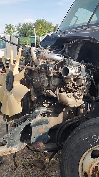 El motor DD15 es bueno o malo #mechanic #diesel #mecanico #mecanicos #dd15 #detroitdiesel #traileros #camioneros #freightliner #cascadia