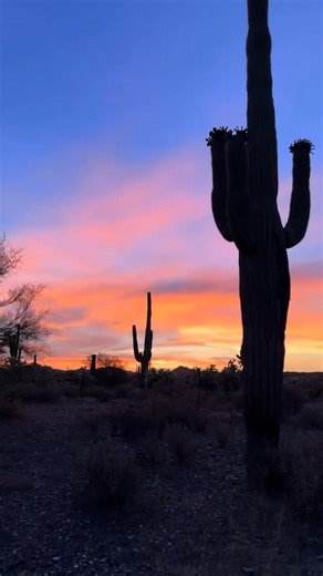 1.1K views · 109 reactions | Arizona History on Reels | Facebook