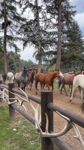 1.4K views · 195 reactions | A glimpse into a week at Montana’s Flathead Lake Lodge. ❤️鸞 #flatheadlakelodge #montana #bigforkmontana #guestranch | Flathead Lake Lodge | Facebook