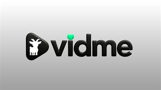 VIDME V.I.P Team