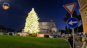 1.4K views · 421 reactions | Here we are with the second tree that...