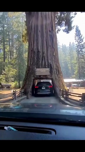 21M views · 268K reactions | Greatest Natural Wonders of the World Ep(215) - Travel Video #reels #short #natural | ABC | Facebook