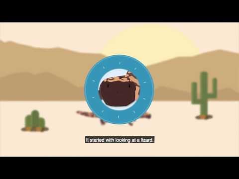 Gut Hormones Control Appetite (GLP-1 Animation)