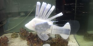 Robot Fish Powered by Synthetic Blood Just Keeps Swimming