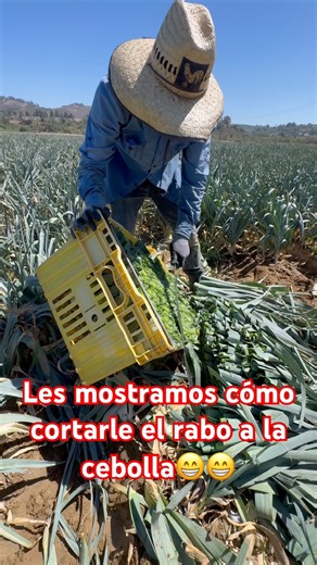 Mexican Farmer, Workers, California!!!!!