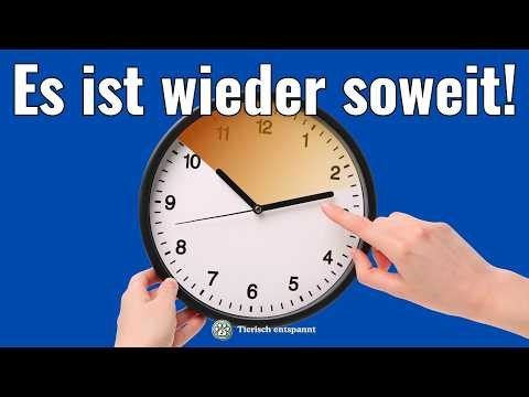Zeitumstellung heute: Uhr vorstellen! Das musst du jetzt wissen (Sommerzeit)