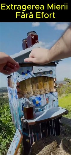Extragerea Mierii Fără Efort: Revoluția Flow Hive!