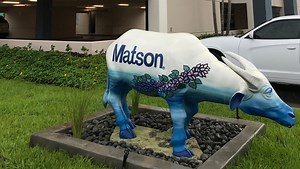 Matson celebrates grand opening of new building