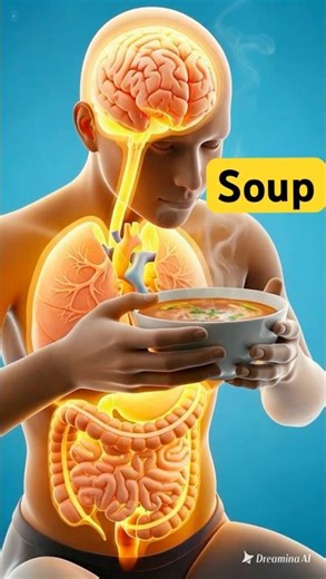 What Happens to Your Body When You Eat 🍲Soup? | 3D Medical Animation#InsideYou3DD