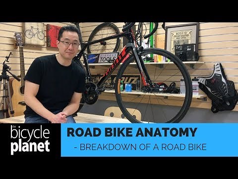Road Bike Basics - Anatomy