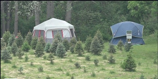 "Agritourism" on the rise amid summer camping season