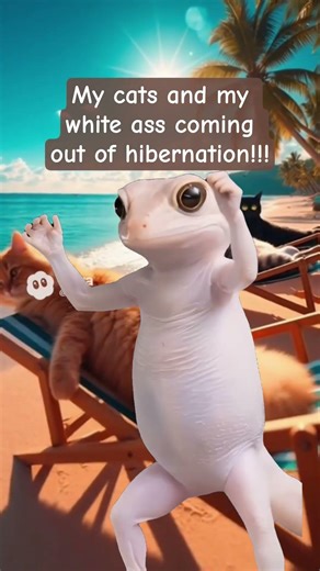 #music #ihavethisthingwithplants #cats #spring #funny #love