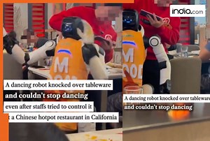 Robot gets out of control in California restaurant; netizens surprisingly ask ‘Is it real?’ | Watch viral video