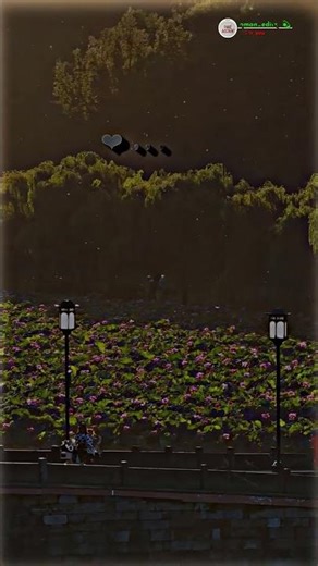 raste wo begane 🫶💐lofi#lofi #shortvideo #lyrics #trending #lofi