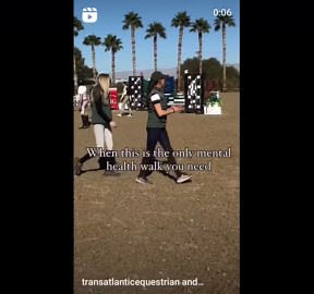 Therapeutic Horseback Riding: Mental Health Walk