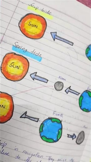 easy drawing of neap tide