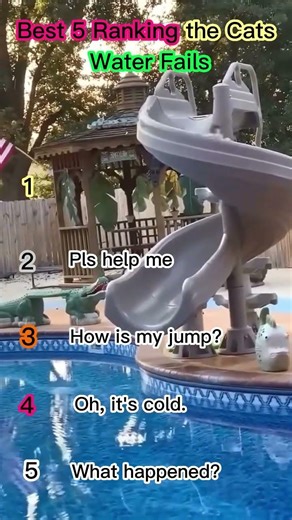 Pet funny video#shorts
