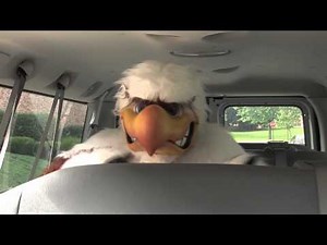 Juniata College Eagle's Harvard Baseball Call Me Maybe spin-off