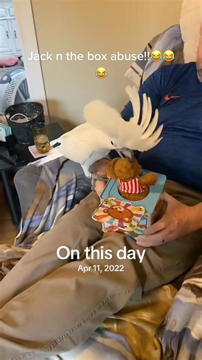 Awe poor bebe, Bus. #fyp #viral #cockatoo #crying #bebe | Busterrthecockatoo