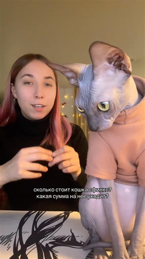 Поговорили о ценах 🤔 #сфинкс #cat #канадскийсфинкс #сфинксы #лысипопи #питомцы #кошка #топ #sphynx