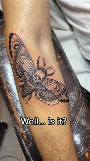 Neotraditional Death Moth Tattoo Idea Video