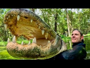How to use your MAGIC STICK!(with gators)