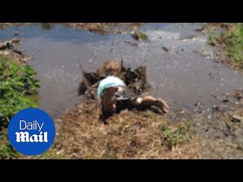 Splat! Toddler giggles after falling face-first into a mud puddle - Daily Mail