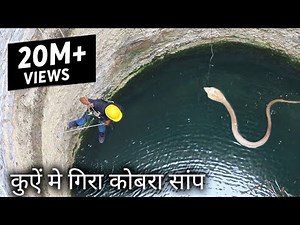 Dangerous cobra snake Rescue operation in the well from Ahmednagar maharashtra