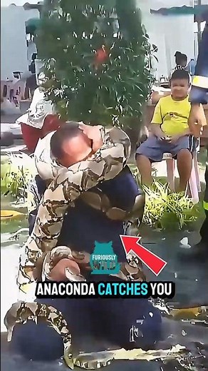 Trapped by a Giant Snake? Here's How to Survive!