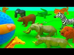 ¿QUÉ ANIMAL SALVAJE ES? (CON SONIDOS!)