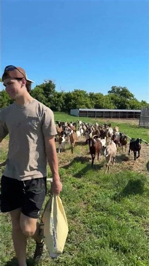 Carson Carels, The Goat Whisperer 🐐🏒