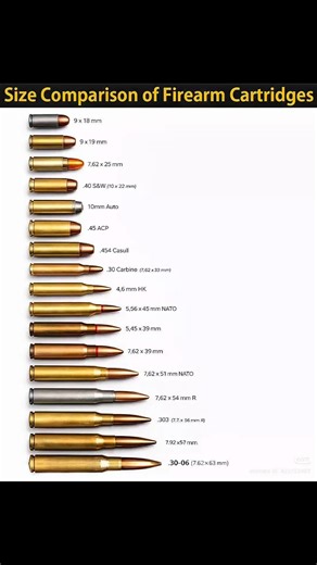 size comparison of firearm