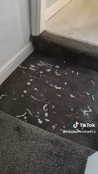This is years of filth, bacteria, sweat, and who knows what else trapped deep inside 🤢 You’re not just walking on your carpet… you’re living in it. Now imagine your kids or pets on this 😷 👉 Want your carpets actually clean? Get your FREE quote today 📱 WhatsApp / Call: 44 7716 250108 📍 West Yorkshire #asmr #carpet #unitedkingdom🇬🇧❤️
