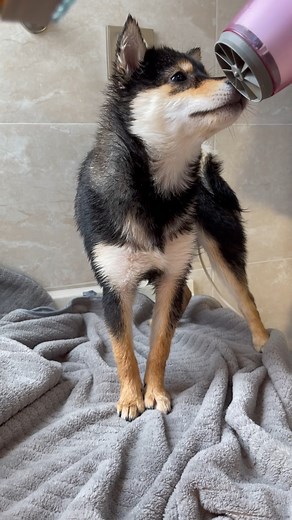 Cleaning time | Beautiful World