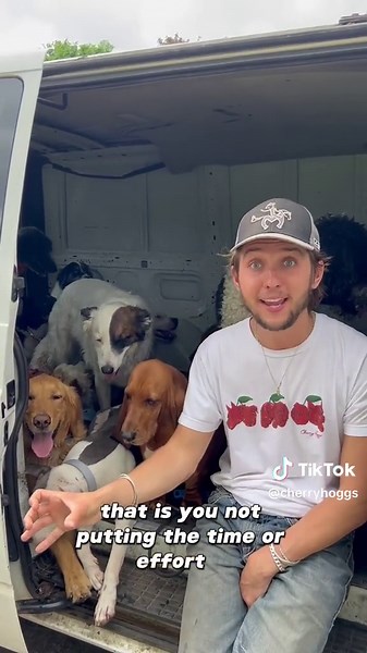 By correctly stimulating your dog daily, your dog will love your ability to keep their mental and physical needs in mind! #dogpack #dogtraining #dogtrainingtips #dogtrainer #puppytraining #doglover #workingdog #rescuedog #reactivedog