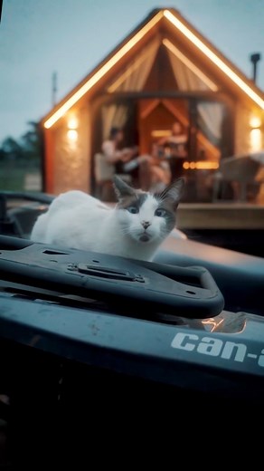 72 reactions | The cabin area is 27 m2, it has a kitchen, living...