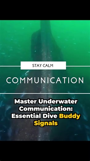 Master Underwater Communication Essential Dive Buddy Signals Please visit our website for more Scuba news, underwater photography, hints & advice, and travel reports: https://divernet.com/ ✅ Important Affiliate Links to Follow 🔗 Get 15% Off International eSIM Offer! Use Code: SCUBADIVERMAG https://airalo.pxf.io/bO7Wy9 🔗 Shop Scuba Gears Here: https://divernet.com/go/youtube-affiliate-link 🔔𝐃𝐨𝐧'𝐭 𝐟𝐨𝐫𝐠𝐞𝐭 𝐭𝐨 𝐬𝐮𝐛𝐬𝐜𝐫𝐢𝐛𝐞 𝐭𝐨 𝐨𝐮𝐫 𝐜𝐡𝐚𝐧𝐧𝐞𝐥 𝐟𝐨𝐫 𝐦𝐨𝐫𝐞 𝐮𝐩𝐝𝐚𝐭𝐞𝐬