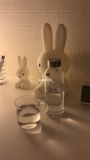 Quiet Life: Cozy Calm Daily Mini Vlog Ideas