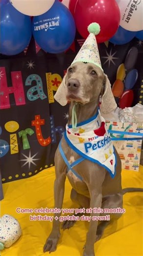 The paws are rolling in! 🐾🎉