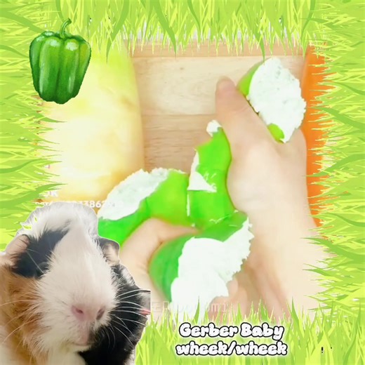 Understanding Guinea Pig Sounds and Communication