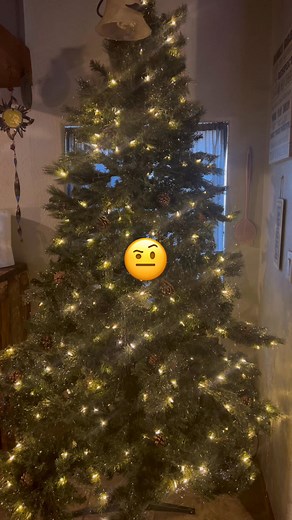 Day 4 #xmastree #truth | Tina Plant