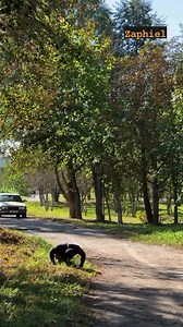 5.5K views · 73 reactions | Elija suerte #fbreelsfypシ゚viralシ #viralvideoreelsfb #meme #parati #video | Store Wow Col | Facebook