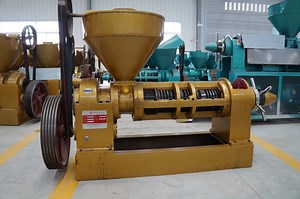 [Hot Item] Yzyx140 Cold Pressed Peanut Oil Press Production Line