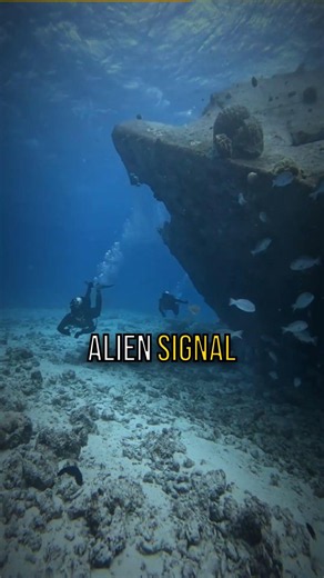 The Alien Antenna at the Bottom of the Sea #Shorts