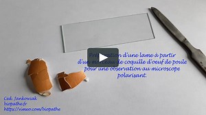 Préparation d'une coquille d'oeuf pour l'observation au microscope polarisant.