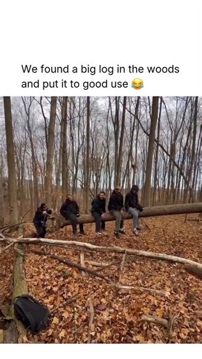 MEMEZAR • MEMES & MEME-CULTURE on Instagram: "😭 The exact origin of the seesaw isn’t documented, but its roots go back centuries. The word “seesaw” appeared in the early 1600s, and by the early 1700s there were clear references to children playing on a simple plank balanced over a central support. Over time, that basic design evolved into the playground seesaw we know today. 🎥 Corona Cowboy via ViralHog"